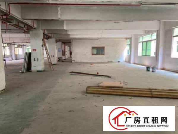  观澜大水田大型工业园区1500平方厂房出租适合电子