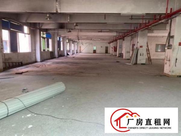  观澜大水田大型工业园区1500平方厂房出租适合电子