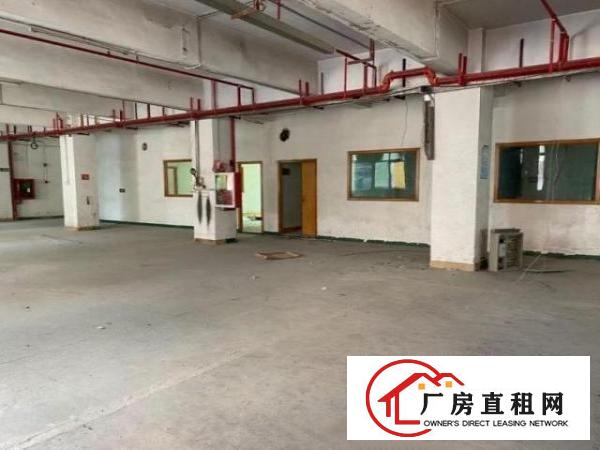  观澜大水田大型工业园区1500平方厂房出租适合电子