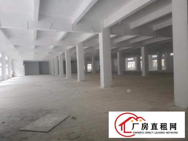  观澜梅观高速出口一公里处独门独院1-3层厂房8200平出租