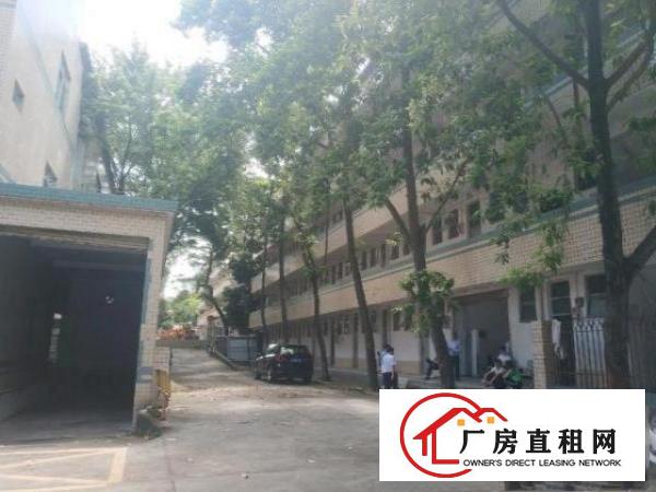  观澜梅观高速出口一公里处独门独院1-3层厂房8200平出租