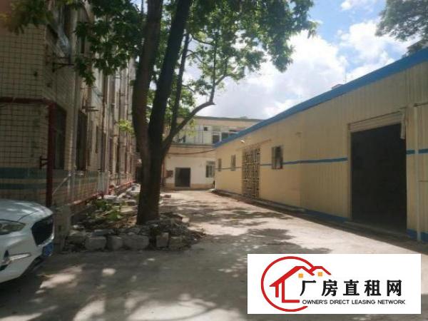  观澜梅观高速出口一公里处独门独院1-3层厂房8200平出租