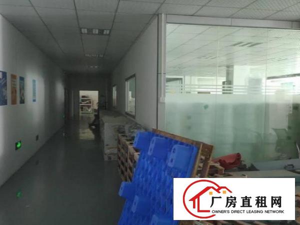  观澜新田楼上2200平方带装修的标准厂房出租