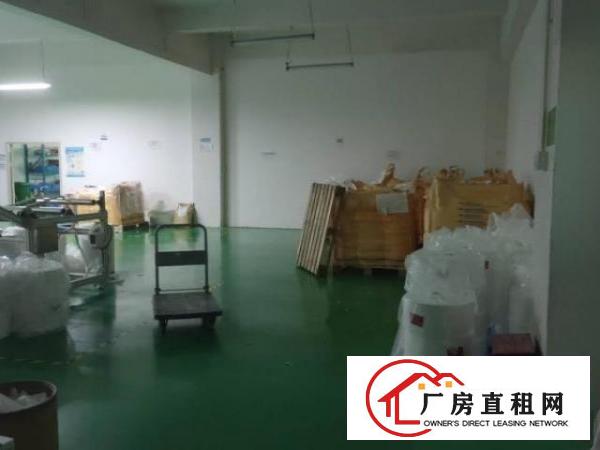  观澜新田楼上2200平方带装修的标准厂房出租