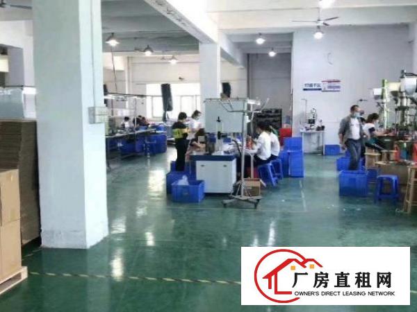  观澜新田楼上2200平方带装修的标准厂房出租