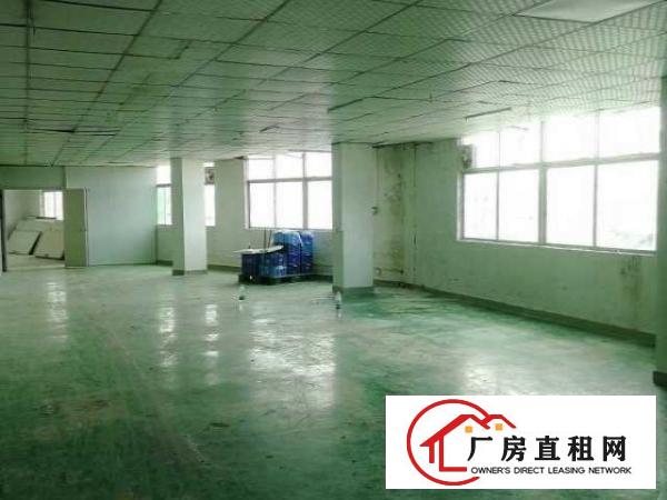  原房东新厂房平价招租