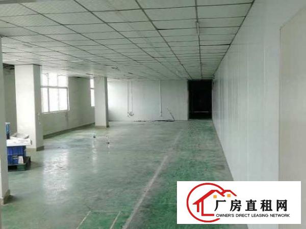  原房东新厂房平价招租