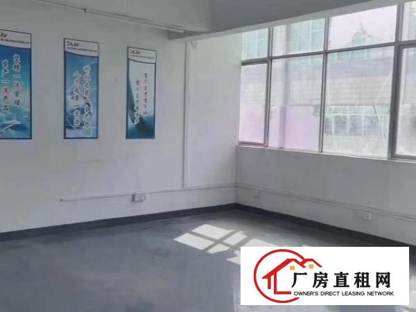  观澜桂花，原房东楼上精装修950平