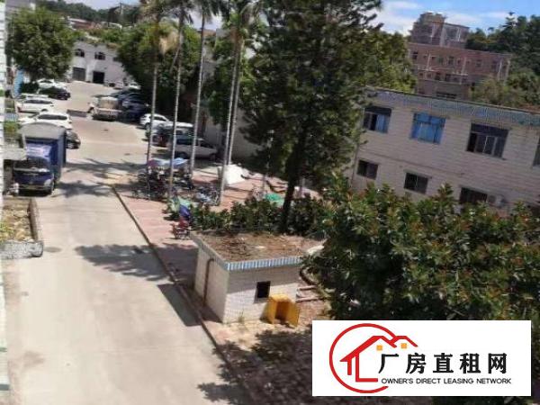  出租观澜牛湖新出厂房/仓库交通方便