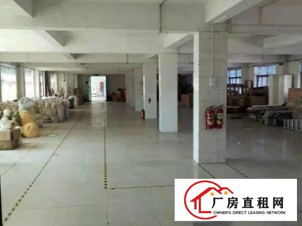  出租观澜牛湖新出厂房/仓库交通方便