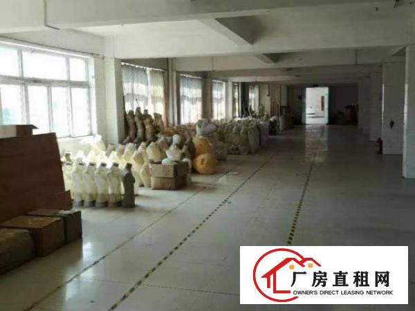  出租观澜牛湖新出厂房/仓库交通方便
