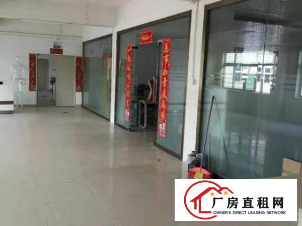  出租观澜牛湖新出厂房/仓库交通方便