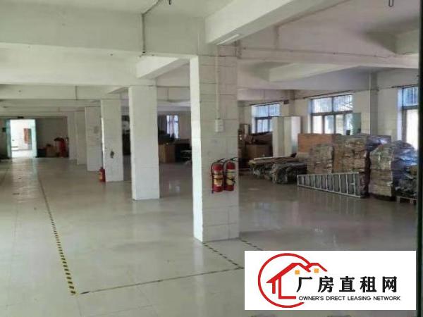  出租观澜牛湖新出厂房/仓库交通方便