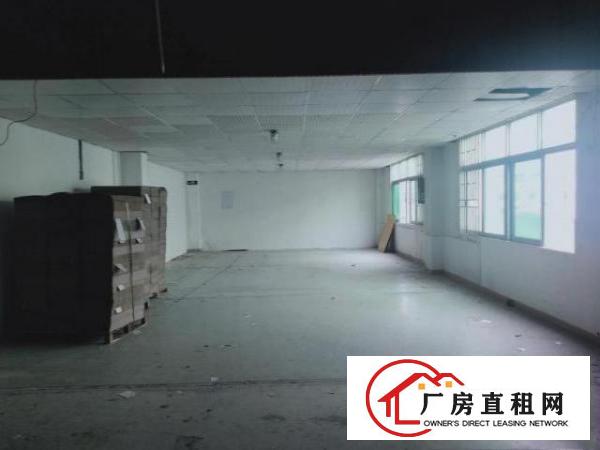  红本标准厂房仓库出租