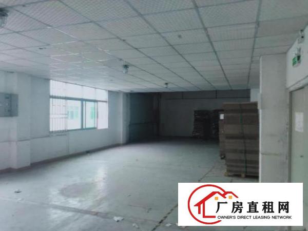  红本标准厂房仓库出租
