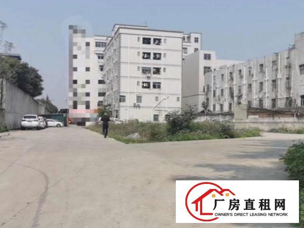 观澜新田自有物业楼上1300平厂房超大空地出租
