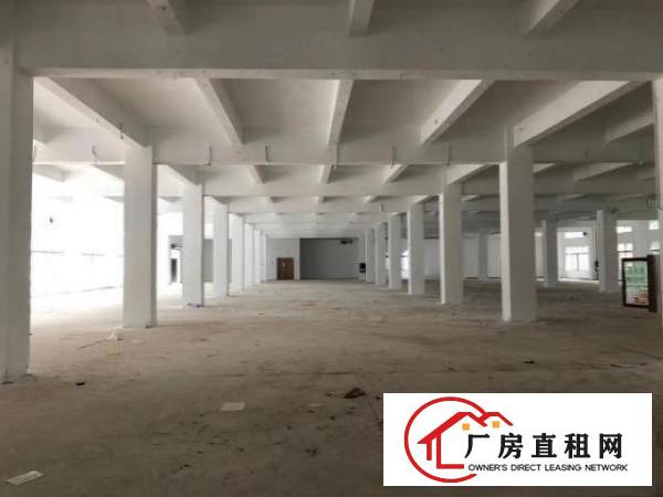  观澜新田自有物业楼上1300平厂房超大空地出租
