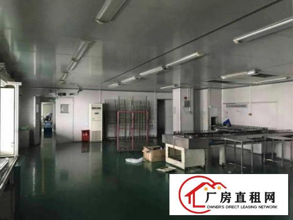  （酸洗，电解，阳极氧化）观澜周边新出二楼500平起招租