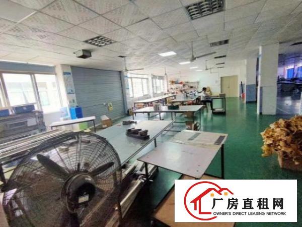  观澜福民楼上新出整层650平豪华装修带前天办公室装修