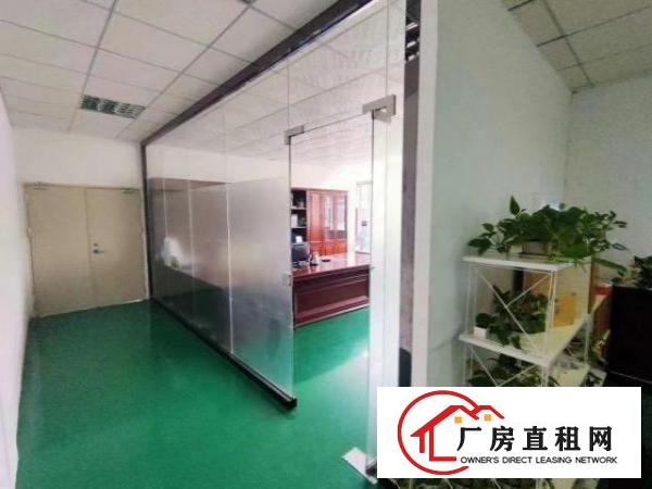  观澜福民楼上新出整层650平豪华装修带前天办公室装修