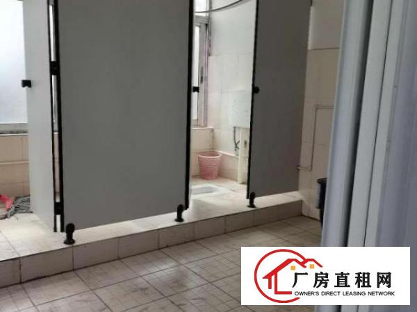  厂房出租，一手货源无中介，门口菜市场，幼儿园，独立停车场