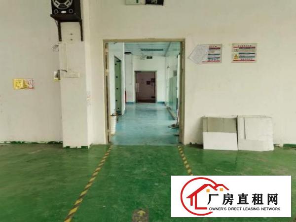  厂房出租，一手货源无中介，门口菜市场，幼儿园，独立停车场