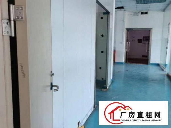  厂房出租，一手货源无中介，门口菜市场，幼儿园，独立停车场