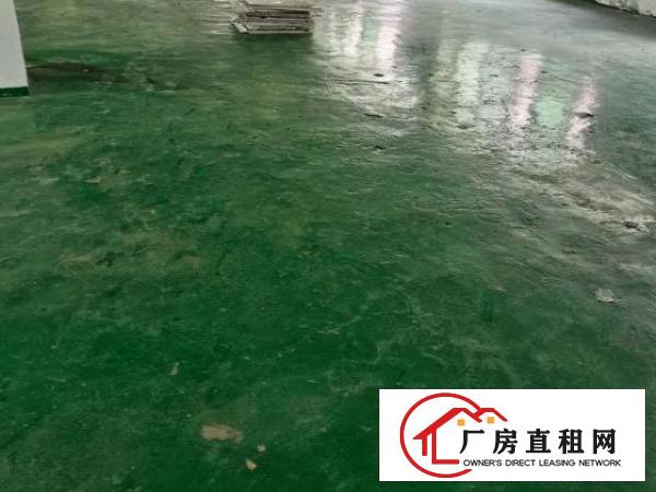  厂房出租，一手货源无中介，门口菜市场，幼儿园，独立停车场