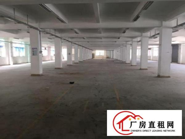  氧化工业厂房出租龙华区观澜
