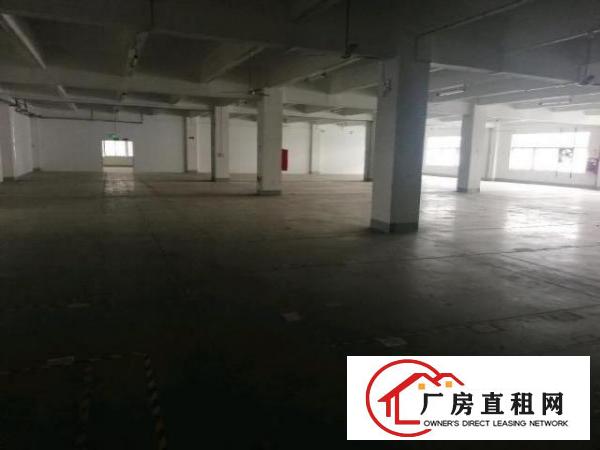  观澜梅观高速出口现成装修重工业厂房