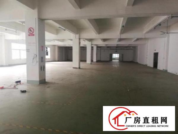  观澜梅观高速出口现成装修重工业厂房