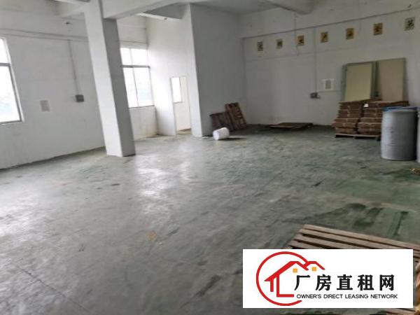  新田观平路现成装修厂房