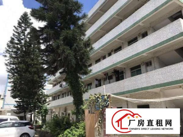  业主直租龙华观澜大量厂房宿舍出租，价格便宜，无限制