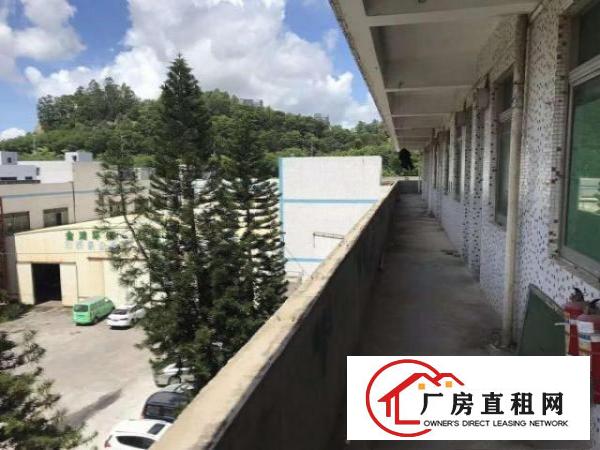  业主直租龙华观澜大量厂房宿舍出租，价格便宜，无限制