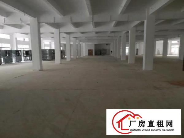  观澜新出独院厂房，停车位充足