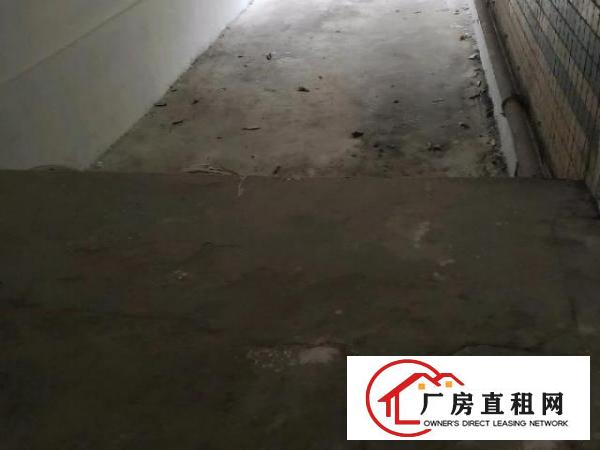  观澜新出独院厂房，停车位充足