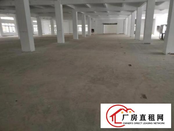  观澜新出独院厂房，停车位充足
