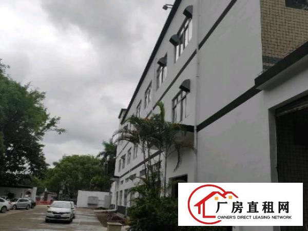 观澜新出独院厂房，停车位充足