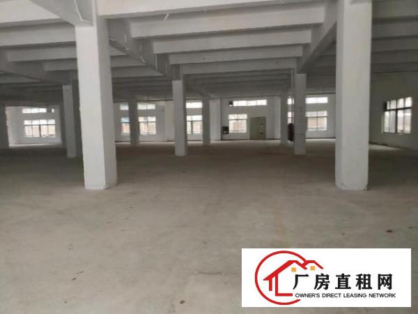  观澜新出独院厂房，停车位充足