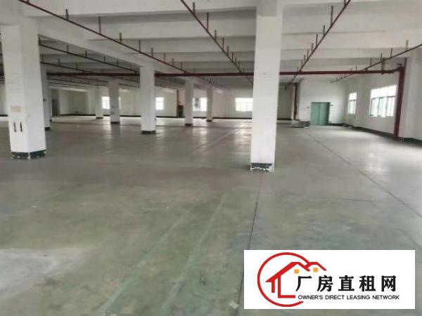  观澜福民龙观快线边楼上2660平厂房大小分租近龙华