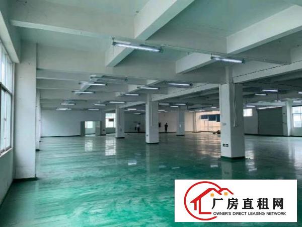  樟坑径上围4楼1000平方厂房出租
