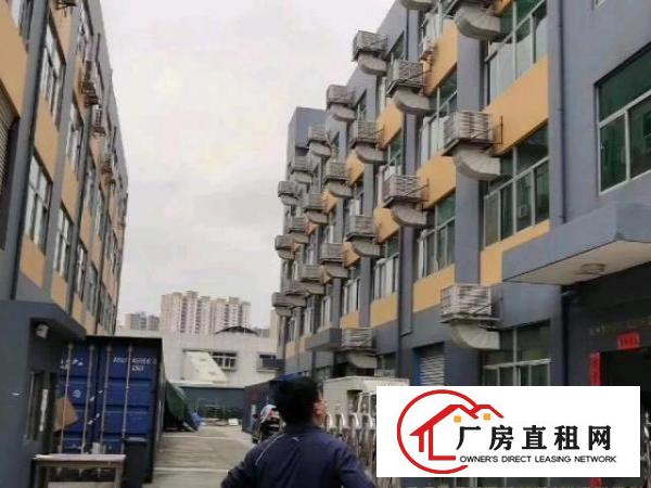  横坑厂房1楼900平方