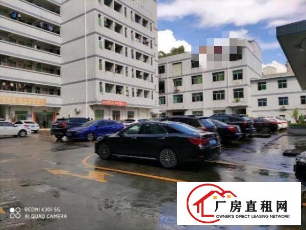  龙华观澜新出楼上400平方，现成无尘车间