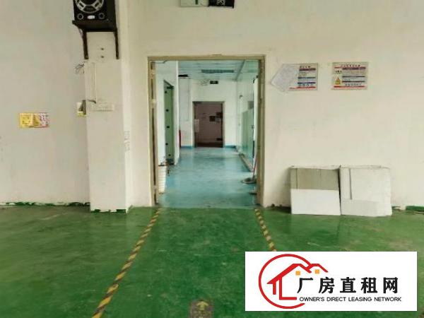  龙华观澜厂房招租200-800平原房东招租20一平