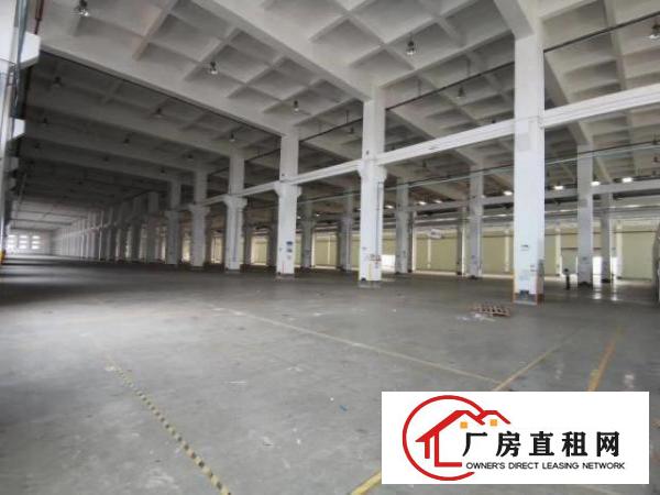  观澜大水坑标准一楼带卸货平台面积9500平方高度6.5米