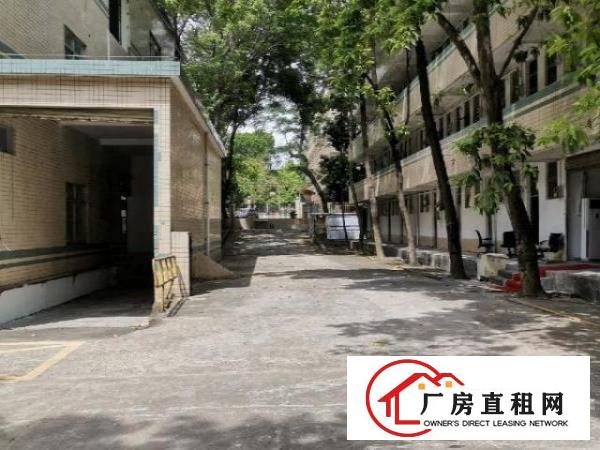  观澜独门独院厂房出租，可分租，火热招商中