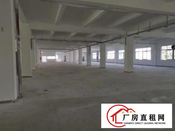  观澜独门独院厂房出租，可分租，火热招商中