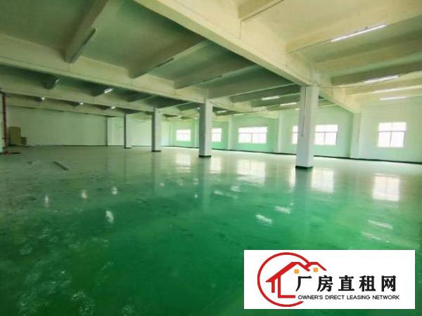  观澜新田观平路边工业区内三楼精装修800平方，大小可分租