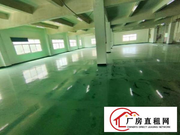  观澜新田观平路边工业区内三楼精装修800平方，大小可分租
