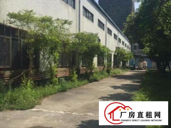  东莞塘厦镇钢构厂房出租5000平方适合压铸玻璃模具